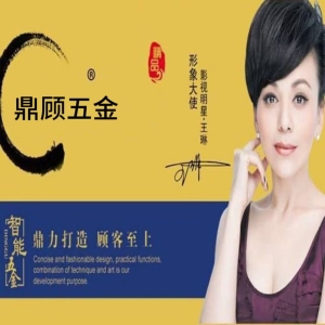 鼎顾系列
